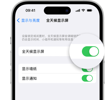 睢宁苹果15预约维修分享iPhone15如何设置全天候显示屏幕可见 